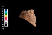 藏品(腹片-帶紋)的圖片