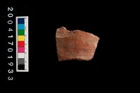 藏品(腹片-帶紋)的圖片