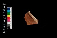 藏品(腹片-帶紋)的圖片