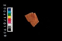 藏品(腹片-帶紋)的圖片