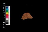 藏品(彩陶-腹片-帶紋)的圖片