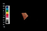 藏品(彩陶-腹片-帶紋)的圖片