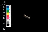 藏品(陶環)的圖片