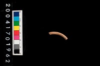 藏品(陶環)的圖片