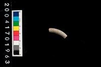 藏品(陶環)的圖片