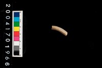 藏品(陶環)的圖片