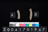 藏品(陶環)的圖片