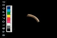 藏品(陶環)的圖片