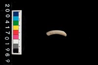 藏品(陶環)的圖片