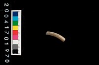 藏品(陶環)的圖片