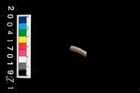 藏品(陶環)的圖片