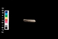 藏品(陶環)的圖片