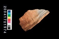 藏品(罐口)的圖片