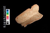 藏品(罐口)的圖片