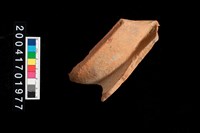 藏品(罐口)的圖片