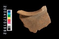 藏品(罐口)的圖片