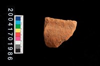 藏品(缽口)的圖片