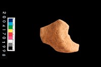 藏品(底部)的圖片