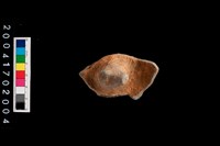 藏品(陶蓋)的圖片