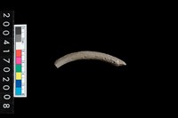 藏品(陶環)的圖片