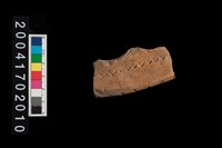 藏品(罐口-帶紋)的圖片