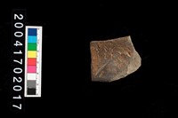 藏品(罐口-帶紋)的圖片