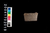 藏品(罐口-帶紋)的圖片