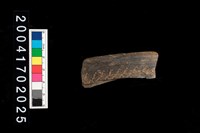 藏品(罐口-帶紋)的圖片