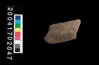 藏品(折肩-帶紋)的圖片