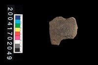 藏品(腹片-帶紋)的圖片