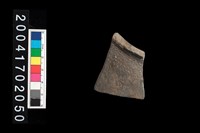 藏品(腹片-帶紋)的圖片