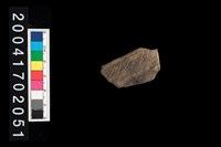 藏品(腹片-帶紋)的圖片