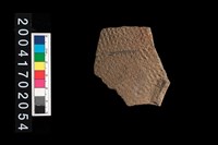 藏品(腹片-帶紋)的圖片