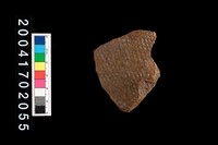 藏品(腹片-帶紋)的圖片