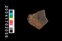 藏品(腹片-帶紋)的圖片