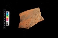 藏品(罐口)的圖片