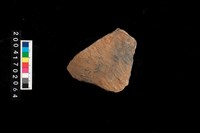 藏品(繩紋腹片)的圖片