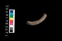 藏品(陶環)的圖片