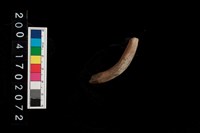 藏品(陶環)的圖片