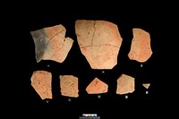 藏品(腹片-素面)的圖片