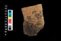 藏品(腹片-素面)的圖片