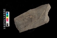 藏品(不明石器)的圖片