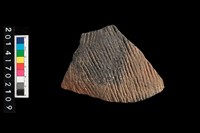 藏品(繩紋腹片)的圖片