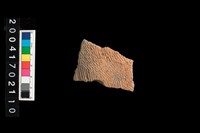 藏品(繩紋腹片)的圖片