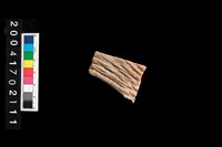 藏品(繩紋腹片)的圖片