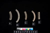 藏品(陶環)的圖片