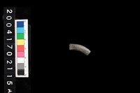 藏品(陶環)的圖片