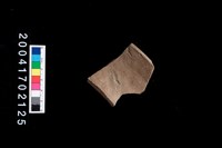 藏品(罐口)的圖片