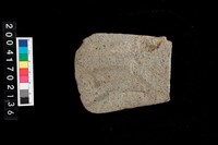 藏品(磨製石斧)的圖片