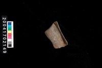 藏品(頸折)的圖片